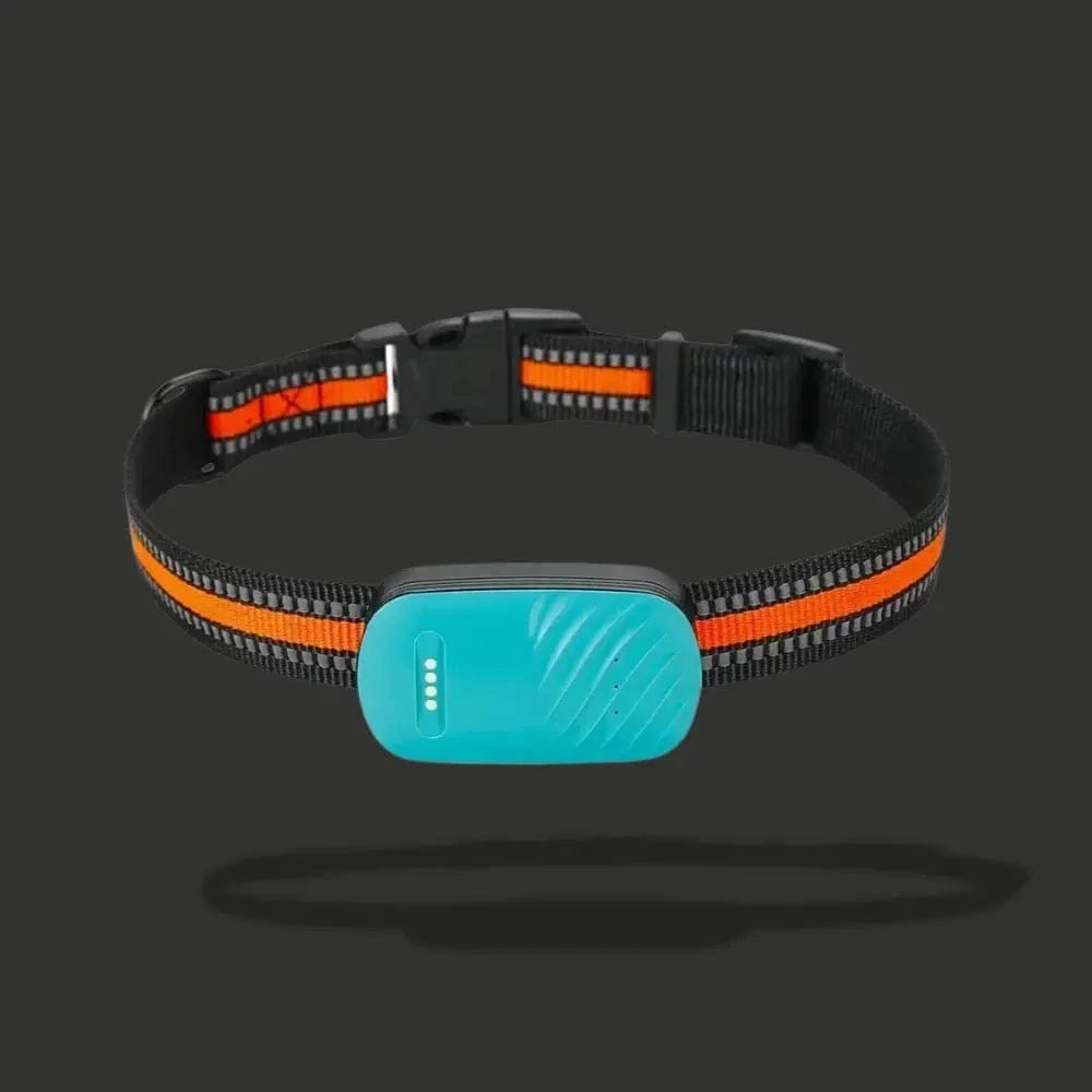 GPSトラッキングカラー猫用 – 日常の位置情報と快適さ