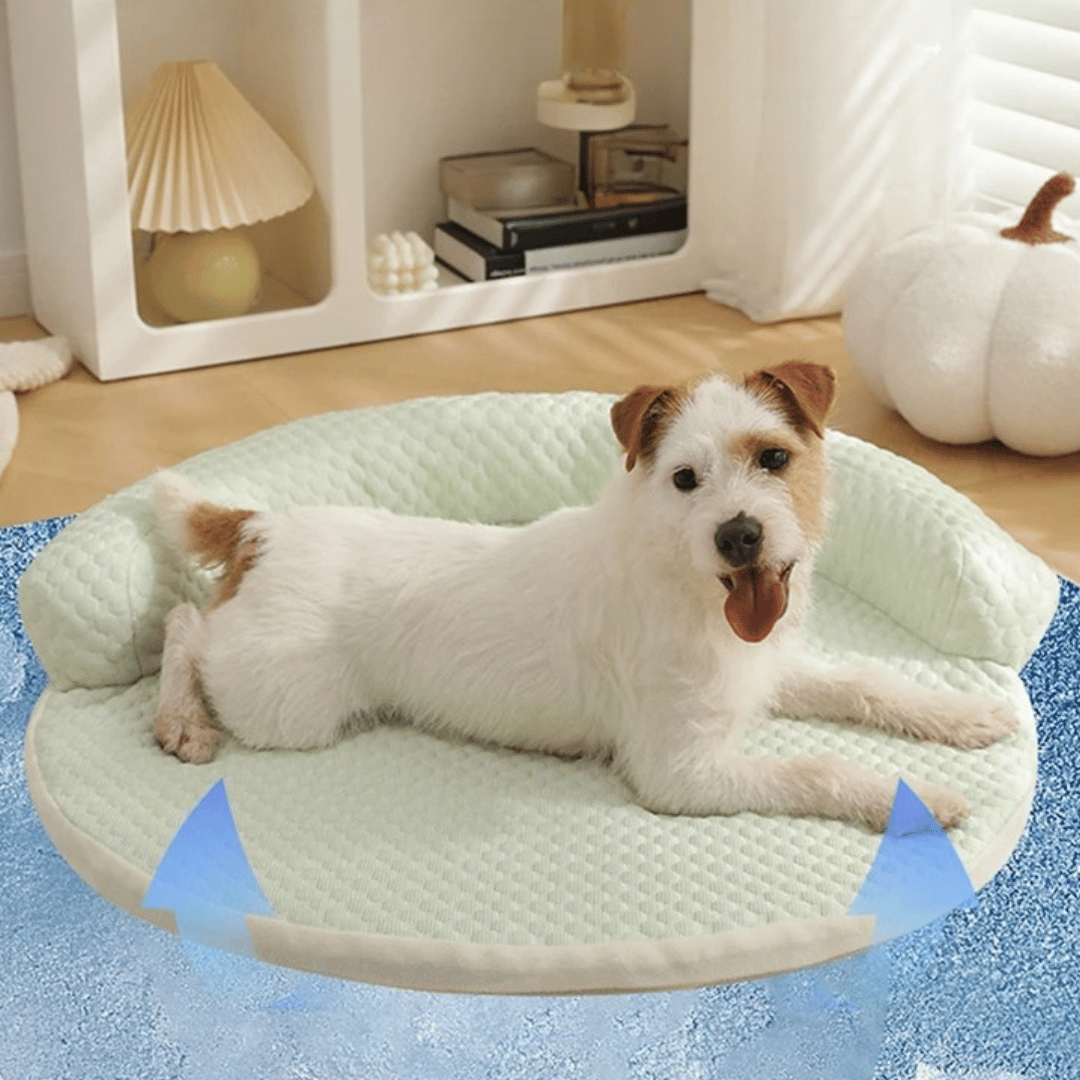 Tapete Refrescante Redondo – Com Área de Descanso Elevada