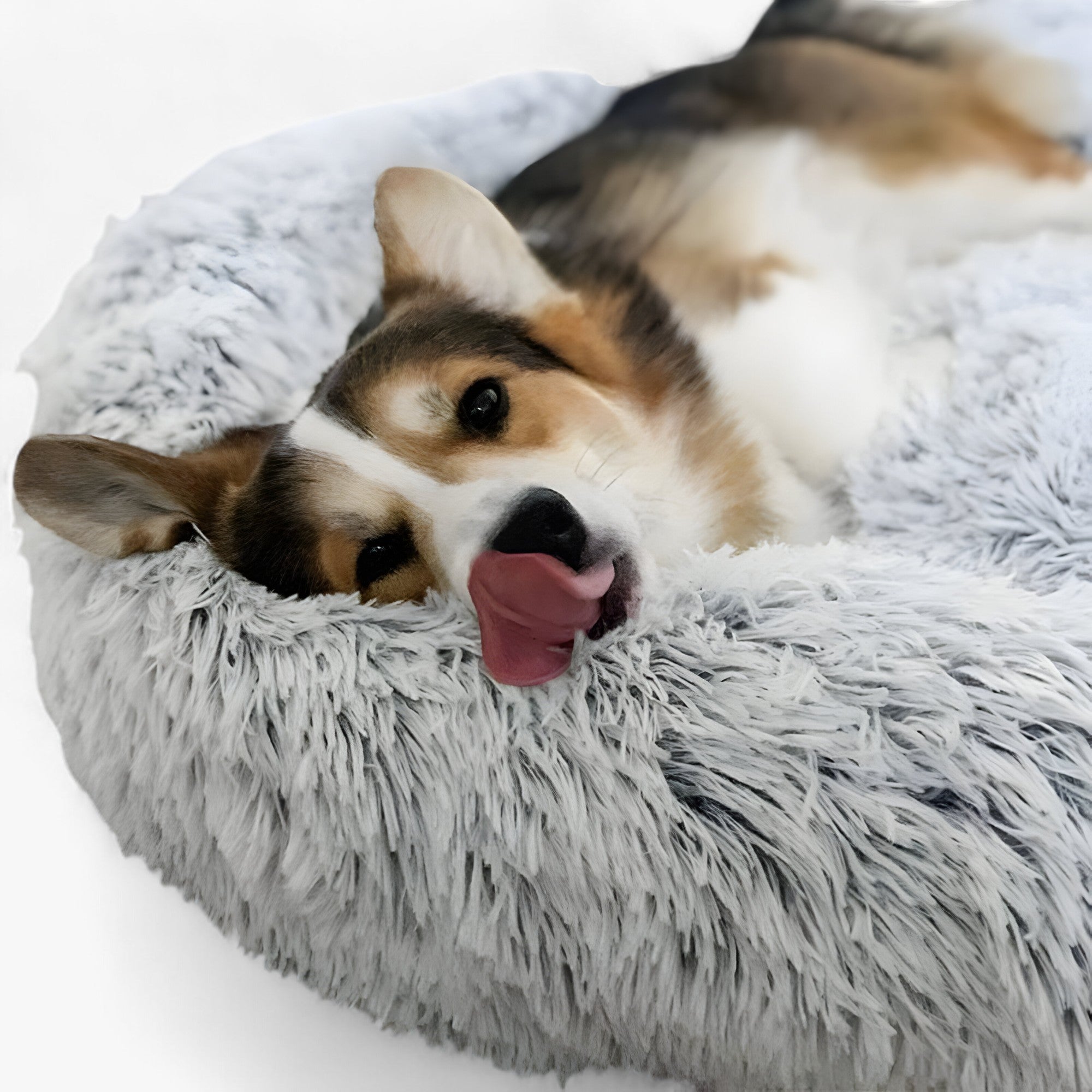 Uklidňující lůžko pro zvířata – pohodlné a regenerační spánek