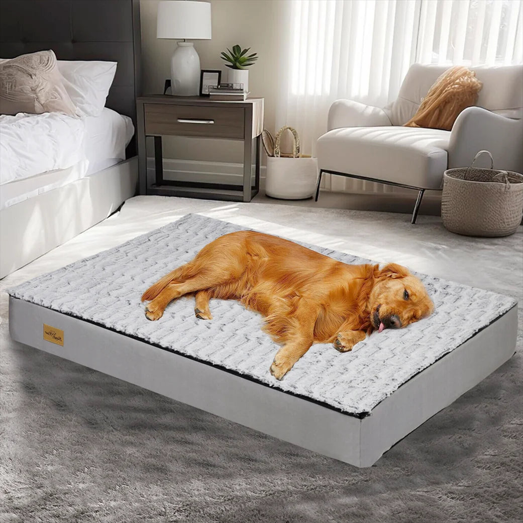 Cama Confortável Para Cão – Ideal Para o Descanso e a Recuperação