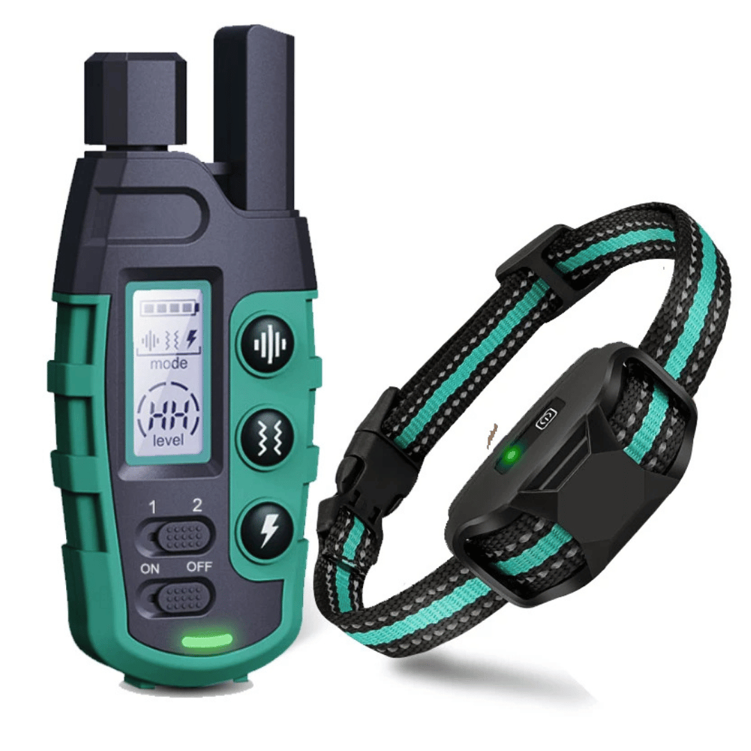 Collier De Dressage Télécommandé – Étanche, Rechargeable Et Portée 1000 m