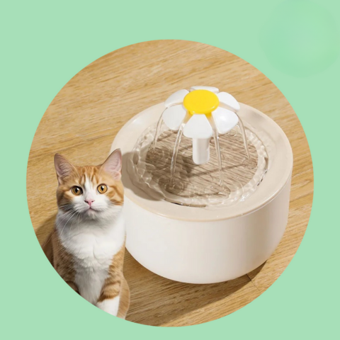Fontana per gatti - Idratazione continua e acqua sempre fresca