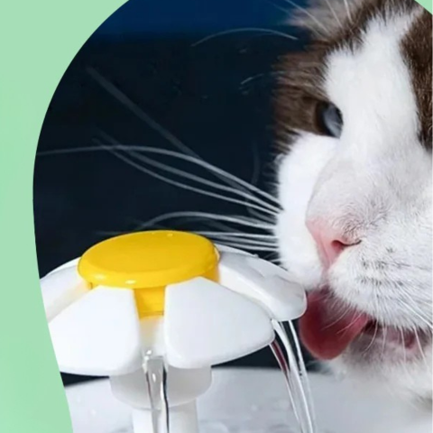 Fontana per gatti - Idratazione continua e acqua sempre fresca