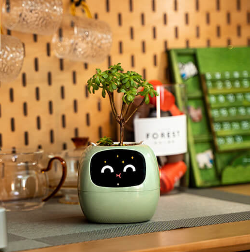 Emoji Květináč – Originální a Zábavná Dekorace