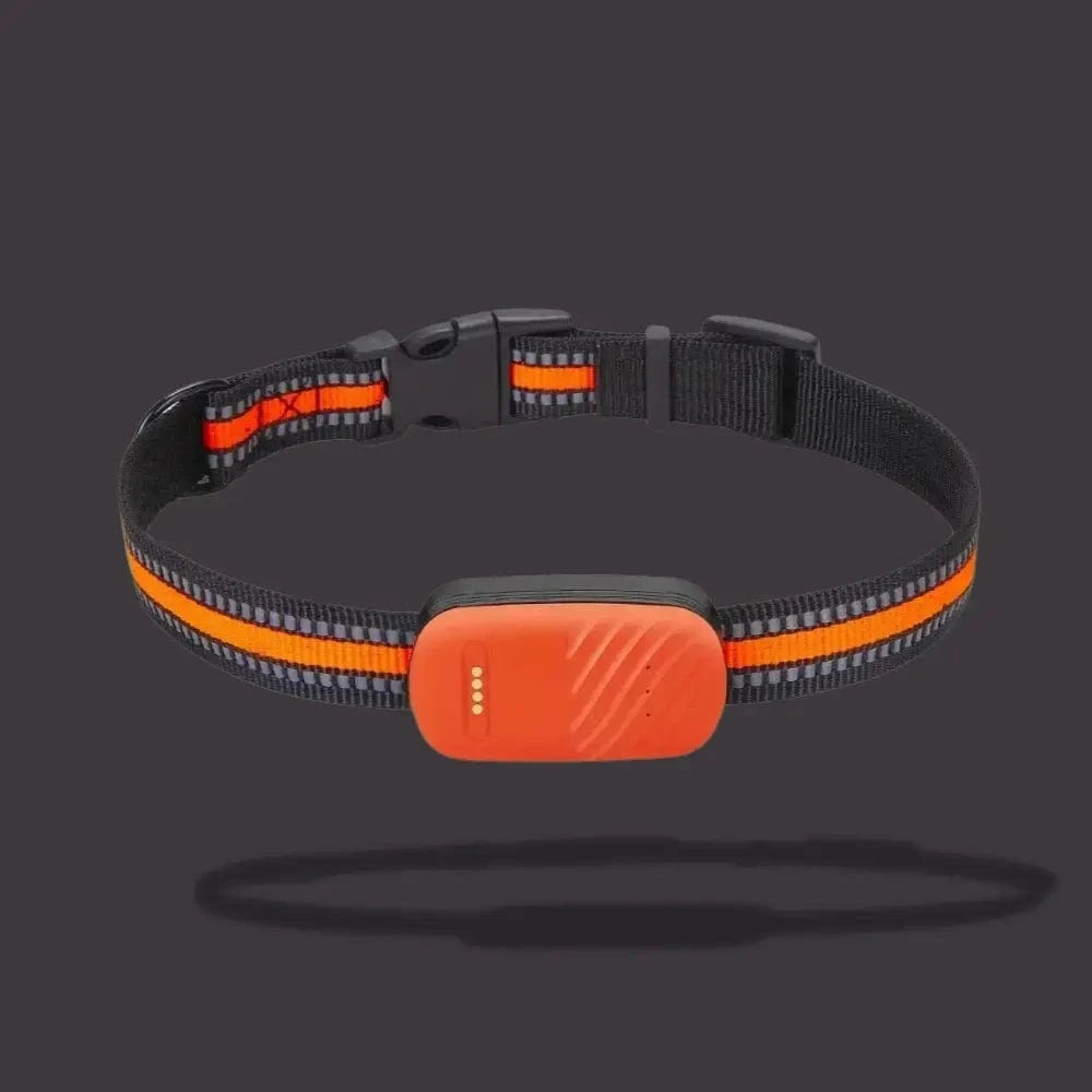 GPSトラッキングカラー猫用 – 日常の位置情報と快適さ