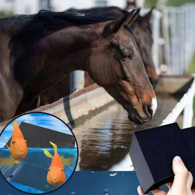 Kostka Oczyszczająca Wodę Dla Zwierząt – Czysta I Zdrowa Woda Na Co Dzień