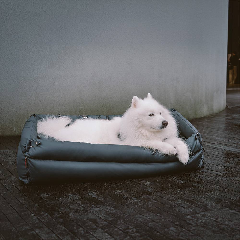 Autosedačka pre psa – Pohodlie a ochrana 