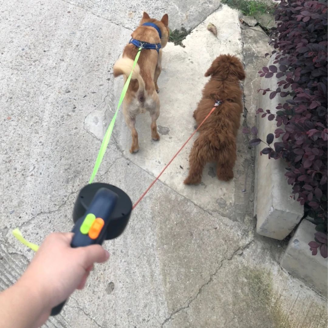 犬用の伸縮リード - LEDランプと袋ディスペンサー付き 