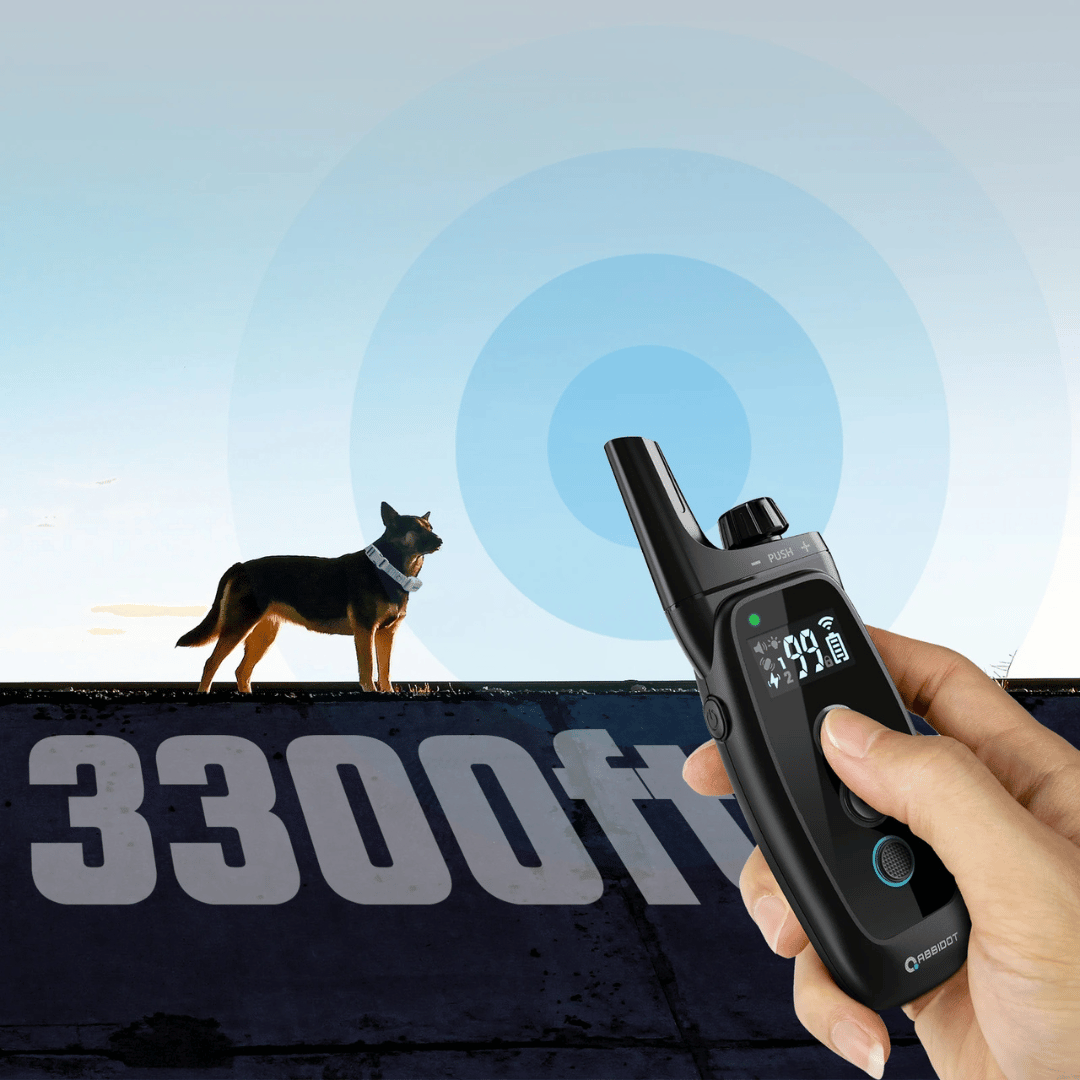 Koiran koulutuskaulakoru – LED-kaukosäädin ja kantama 1000 m 
