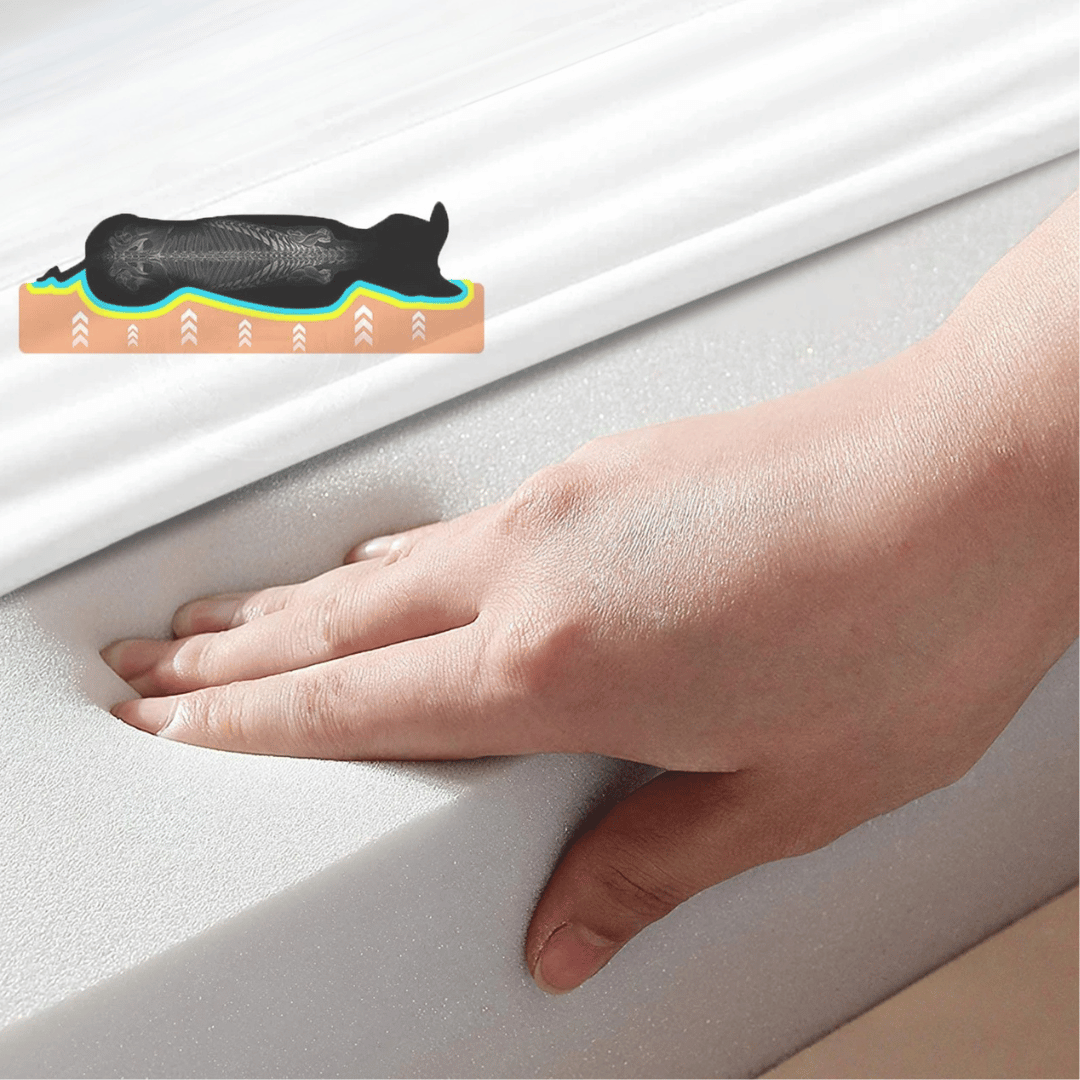 Cama Confortável Para Cão  – Ideal Para o Descanso e a Recuperação 