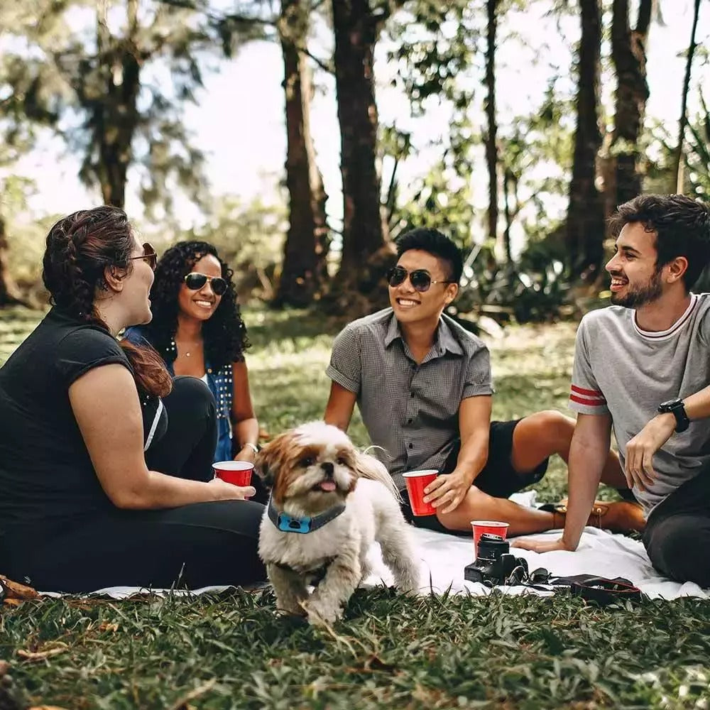 Colar Anti-Latido Para Cão — Treino Suave e Eficaz 