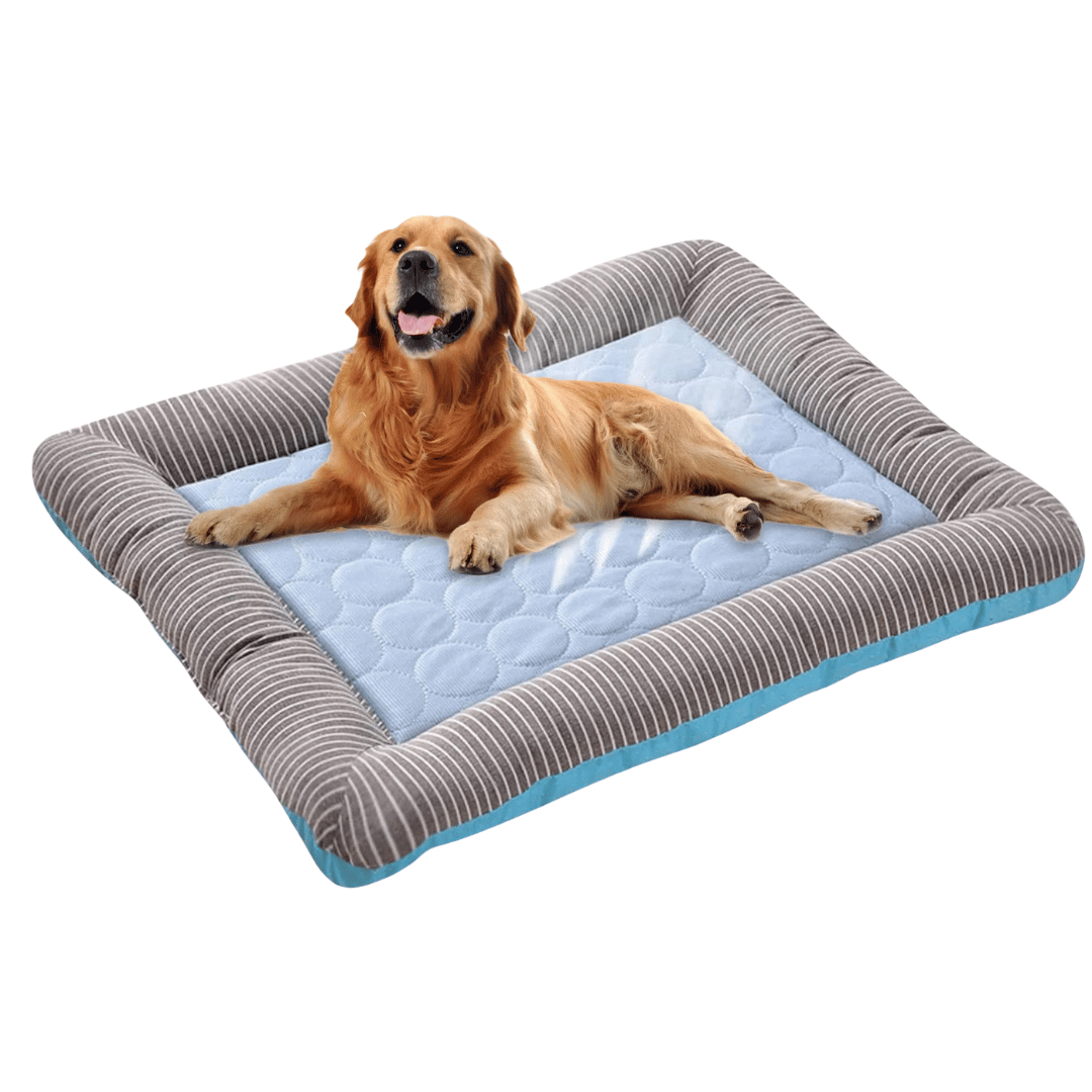 Kühlkissen für Hunde – Frische und Komfort im Sommer 