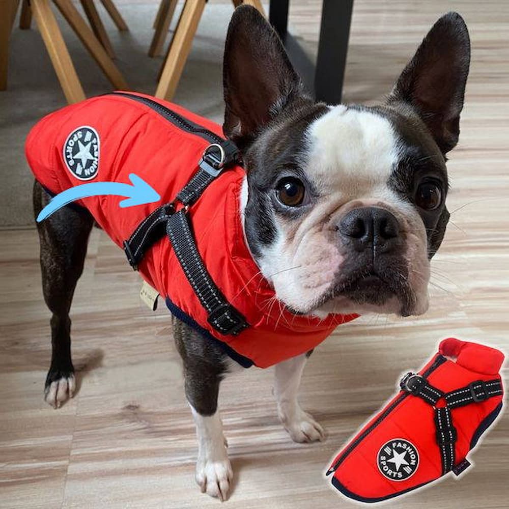 Nepremokavá bunda pre psa - Ochrana & Štýl 