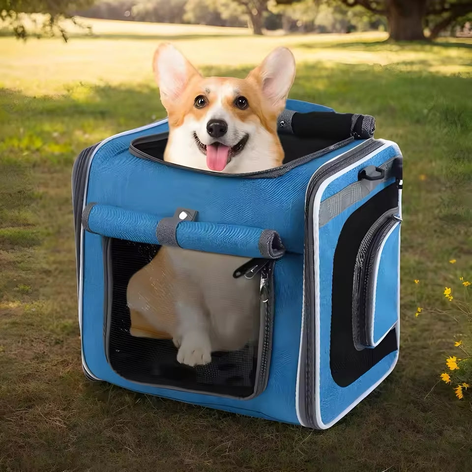 Cesto de Bicicleta Extensível para Animais – Prático e Confortável 