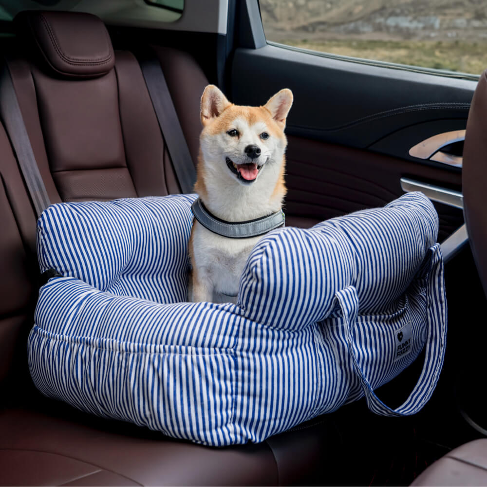 Cadeira de Auto para Cão – Conforto e Segurança em Viagem 