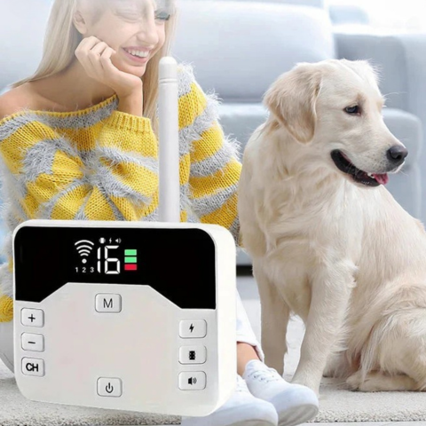 Împrejmuire Fără Fir Cu Zgarda De Dresaj – Siguranță Și Educație Pentru Câini 