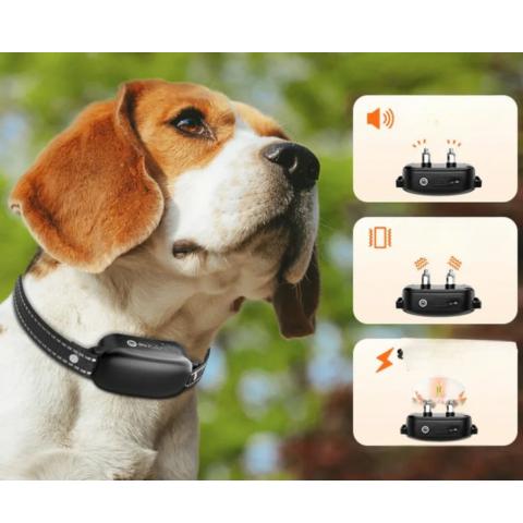 Halsband mit Fernbedienung – Effektive Ausbildung 