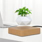 Levitation flower pot: Elegance and technology for your plants! 