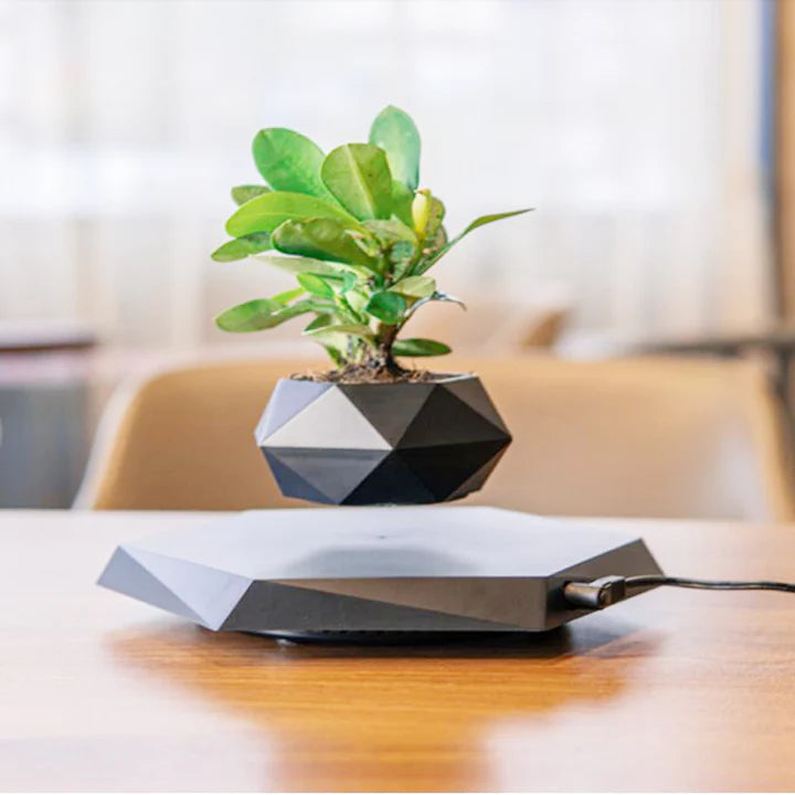 Levitation flower pot: Elegance and technology for your plants! 