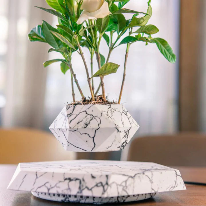 Levitation flower pot: Elegance and technology for your plants! 