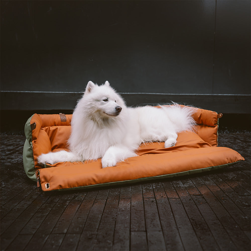 Autosedačka pre psa – Pohodlie a ochrana 