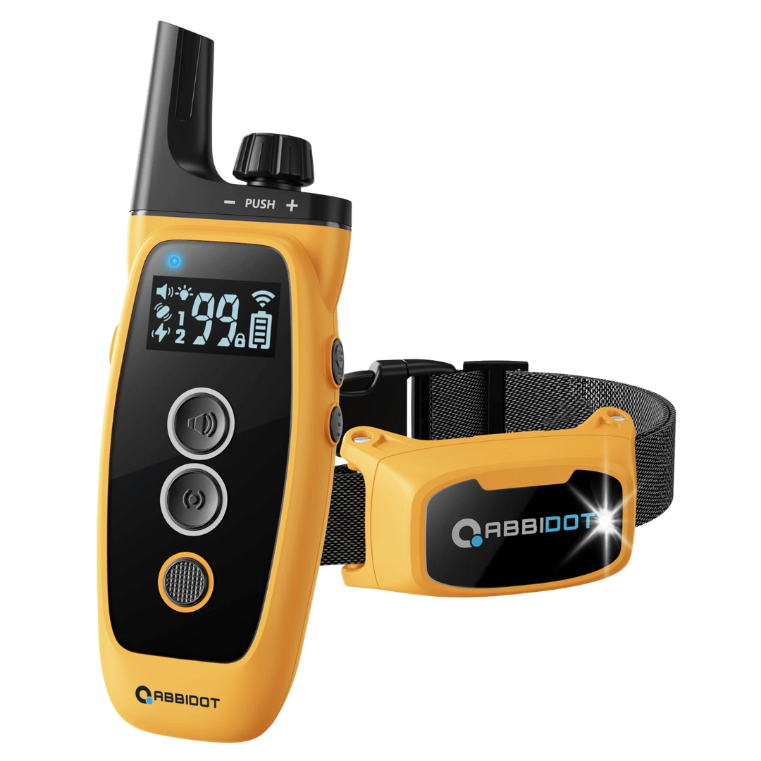 Coleira de Adestramento para Cão – Controlo Remoto LED e Alcance de 1000 m 